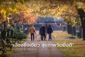 พื้นที่สีเขียวไม่ได้แค่ทำให้เมืองน่าอยู่ขึ้น-แต่ยังอาจช่วยป