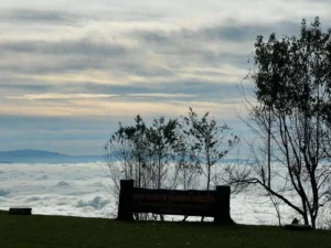 ชวนสัมผัส-ทะเลหมอกสุดฟิน-ที่ลานกางเต๊นท์ดอยผ้าห่มปก-ใน-อุท