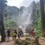 ปลายฝนต้นหนาวอุ้มผางคึกคัก-เจ้าหน้าที่เขตรักษาพันธุ์สัตว์ป่า