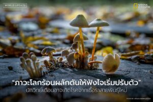 ทีมนักวิจัยจากมหาวิทยาลัยจอห์นฮอปกินส์ในสหรัฐฯ-ได้ศึกษาวิธีก