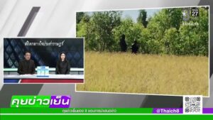 live-รายการ-ช่อง8-วันที่-16-พฤศจิกายน-2568-|-ข่าวช่อง8