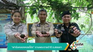 “ฟาร์มคลองหอยโข่ง”-ตามพระราชดำริ-จ.สงขลา-ข่าวใต้แลได้ที่เรา