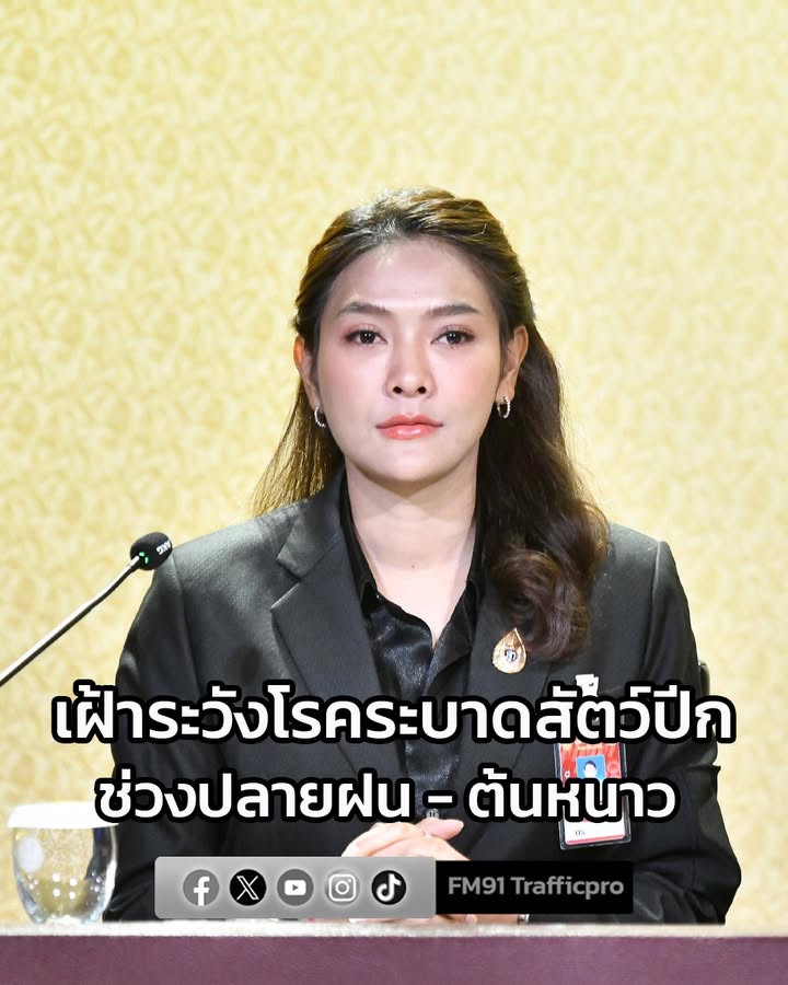 รัฐบาลเตือน-เฝ้าระวังโรคระบาดสัตว์ปีกช่วงปลายฝน-–-ต้นหนาว-หา-|-2025-11-17-15:fifty-three:00