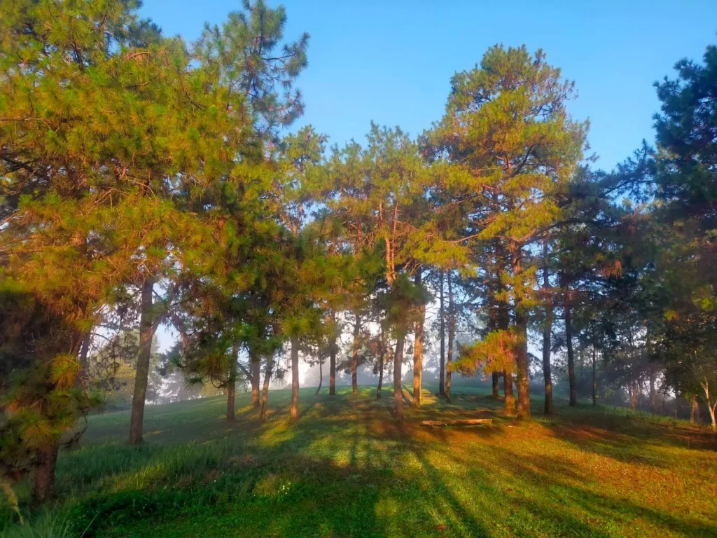 ชมพระอาทิตย์ยามรุ่งอรุณ-“ลานกางเต็นท์ดอยม่อนล้าน”-ที่อุทยานแ