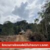 จับขบวนการลักลอบตัดไม้ในป่าสงวนฯ-จ.สงขลา-ข่าวใต้แลได้ที่เรา