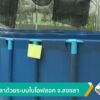 เลี้ยงปลาด้วยระบบไบโอฟลอค-จ.สงขลา-ข่าวใต้แลได้ที่เรา-#thaip