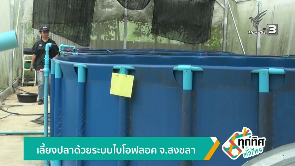 เลี้ยงปลาด้วยระบบไบโอฟลอค-จ.สงขลา-ข่าวใต้แลได้ที่เรา-#thaip