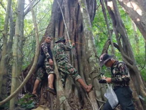 ภาพความสวยงามของเหล่าแมลง-จากการลาดตระเวนเชิงคุณภาพของ-เจ้า