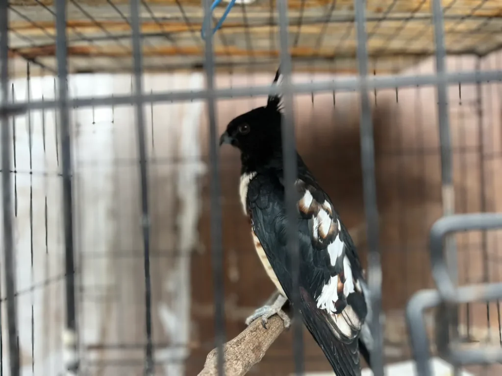 เจ้าหน้าที่จากสำนักบริหารพื้นที่อนุรักษ์ที่-1-สาขาสระบุรี-รั