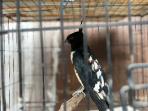 เจ้าหน้าที่จากสำนักบริหารพื้นที่อนุรักษ์ที่-1-สาขาสระบุรี-รั