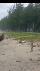 สทช5-ลงพื้นที่ติดตามการฟื้นฟูชายหาดม่วงงาม-จ.สงขลา-หลังรื้