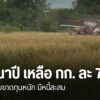 ราคาข้าวนาปี-ที่รับซื้อปัจจุบันกิโลกรัมละ-7-บาท-ชาวนาถือว่าเ