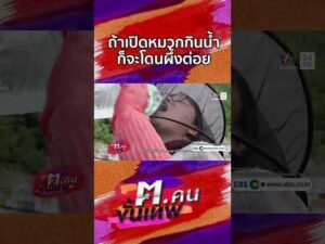 ด่วน ถ้าเปิดหมวกกินน้ำก็จะโดนผึ้งต่อย | Shorts ฅ.คนขั้นเทพ