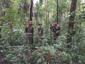 “ภารกิจลาดตระเวนผืนป่าภูพาน”-เจ้าหน้าที่พิทักษ์ป่า-อุทยานแ