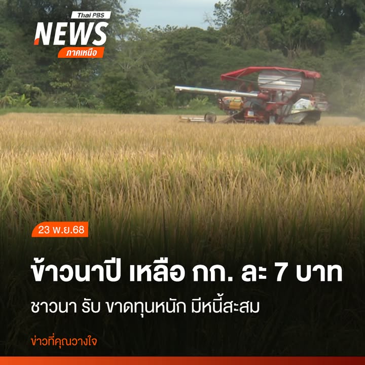 นาข้าวจำนวน-22-ไร่-ของนายแก้ว-ใจคำ-เกษตรกรตำบลแม่แฝกใหม่-อำเ