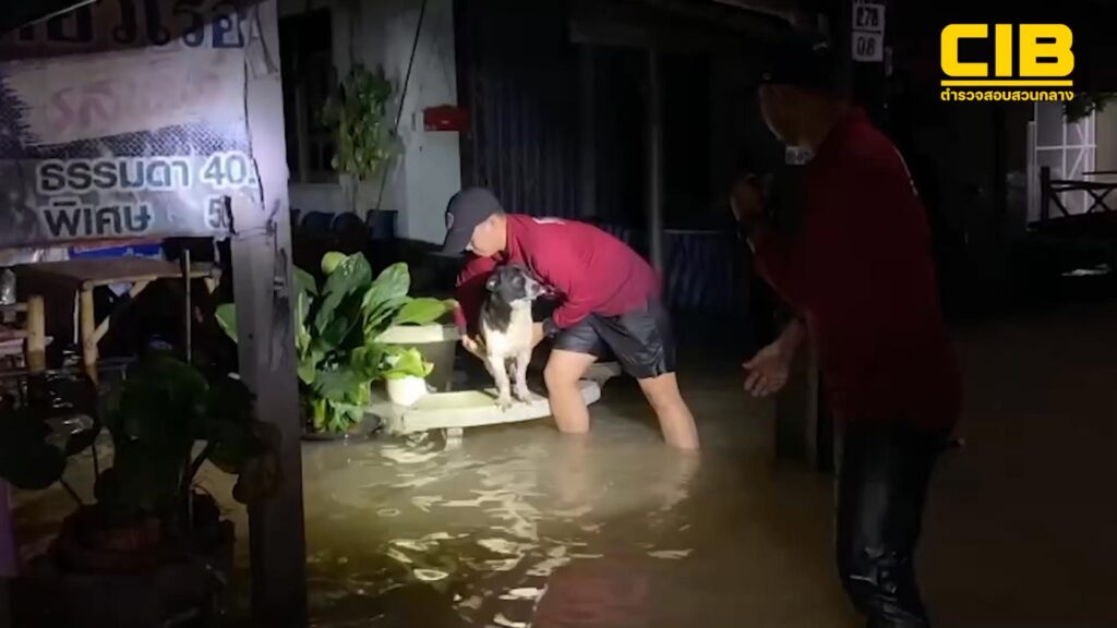 ช่วยน้องหมาฝ่าน้ำท่วม.-ตำรวจสอบสวนกลาง-ระดมกำลังเข้าช