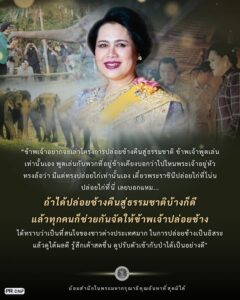 โครงการปล่อยช้างคืนสู่ธรรมชาติ-เพื่อฟื้นฟูประชากรช้าง-และระ