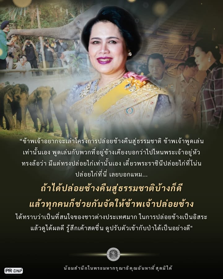 โครงการปล่อยช้างคืนสู่ธรรมชาติ-เพื่อฟื้นฟูประชากรช้าง-และระ