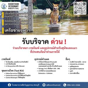 ð»‍️รับบริจาคของช่วยสุนัขและแมวประสบภัยน้ำท่วมภาคใต้-ตามราย