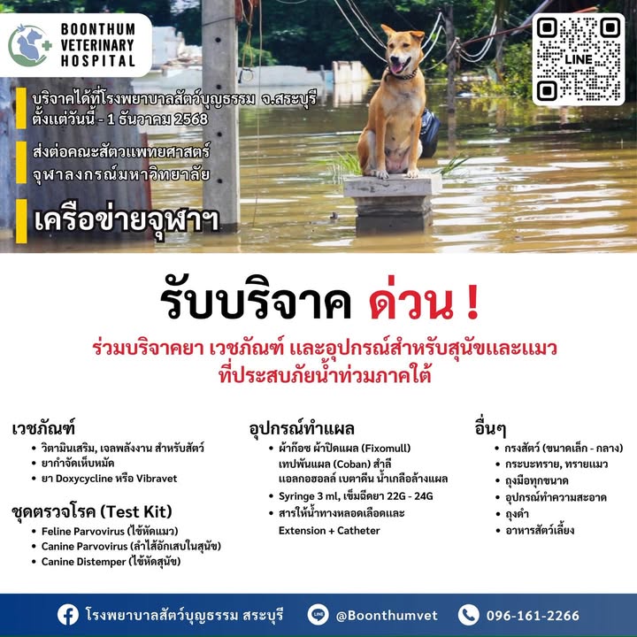 ð»‍️รับบริจาคของช่วยสุนัขและแมวประสบภัยน้ำท่วมภาคใต้-ตามราย