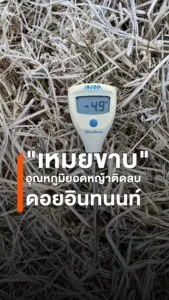 อุทยานแห่งชาติดอยอินทนนท์พบปรากฏการณ์-เหมยขาบ-หรือ-น้ำค้าง