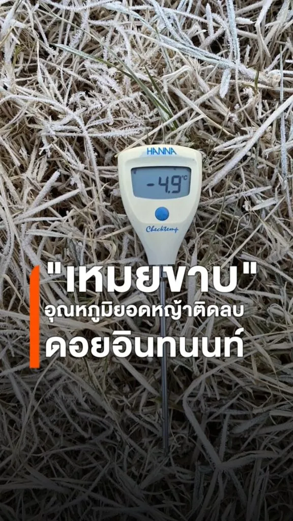 อุทยานแห่งชาติดอยอินทนนท์พบปรากฏการณ์-เหมยขาบ-หรือ-น้ำค้าง