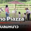 primo-piazza-ชวนรับลมหนาว-“iciness-piazza”-|-29-พ.ย