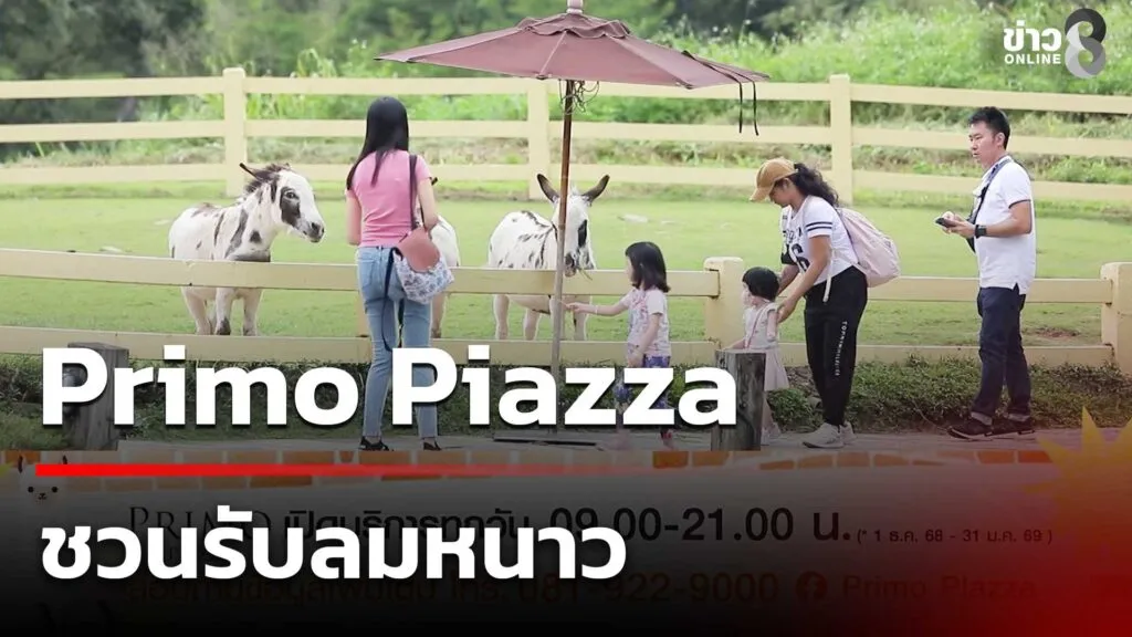 primo-piazza-ชวนรับลมหนาว-“iciness-piazza”-|-29-พ.ย
