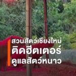 วันนี้-(1-ธค.2568)-อากาศหนาวเย็นในภาคเหนือส่งผลกระทบต่อสัตว