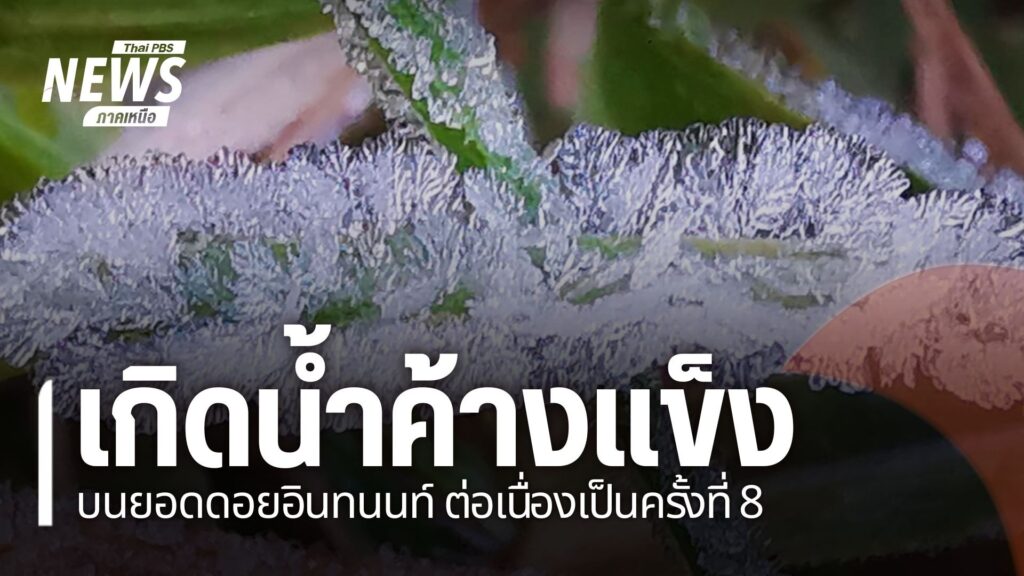 น้ำค้างแข็งบริเวณใบไม้-ใบหญ้า-เป็นภาพปรากฏการณ์น้ำค้างที่เกิ