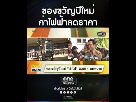 ของขวัญปีใหม่ ค่าไฟฟ้าลดราคา | สำนักข่าววันนิวส์