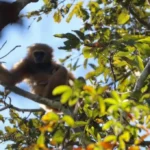 ระหว่างทางการเข้าปฏิบัติงานลาดตระเวนเชิงคุณภาพของ-เจ้าหน้าท