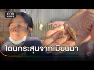 ชาวบ้านผวา โดนกระสุนลูกหลงฝั่งเมียนมายิvเจ็บ | ข่าวเย็นช่องวัน | สำนักข่าววันนิวส์