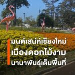 (3ธค.68)บรรยากาศท่องเที่ยว-บรรยากาศงานมนต์เสน่ห์เชียงใหม่-เ