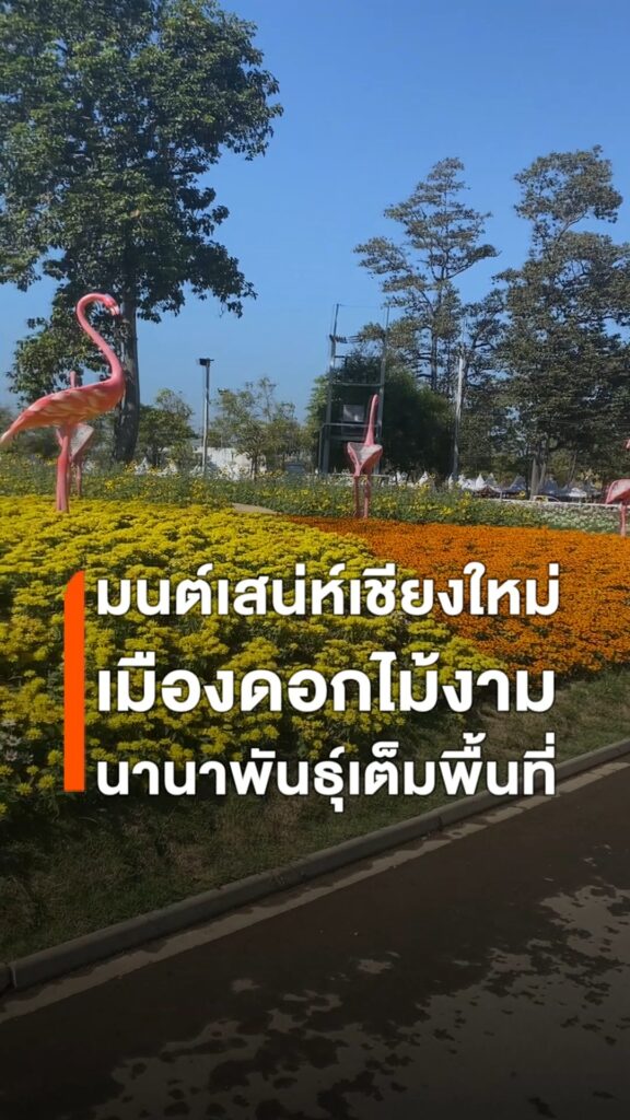 (3ธค.68)บรรยากาศท่องเที่ยว-บรรยากาศงานมนต์เสน่ห์เชียงใหม่-เ