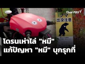 นวัตกรรมโดรนเห่าไล่ “หมี” ประเทศญี่ปุ่น | สีสันทันโลก 6 ธ.ค. 68