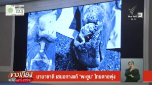 นานาชาติ-เสนอทางแก้-“พะยูน”ไทยเสียชีวิตพุ่งข่าวใต้แลได้ที่เรา-ข่