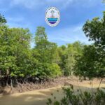 กรมทะเลชายฝั่ง-(สทช.10-)-โดยศูนย์อนุรักษ์ทรัพยากรป่าชายเลน