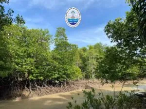 กรมทะเลชายฝั่ง-(สทช.10-)-โดยศูนย์อนุรักษ์ทรัพยากรป่าชายเลน