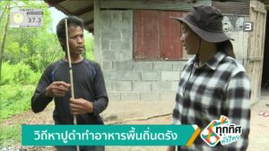 วิถีหาปูดำ-ทำอาหารพื้นถิ่นตรัง-ข่าวใต้แลได้ที่เรา-ข่าวที่ค