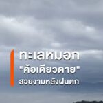 ทะเลหมอกค้อเดียวดาย-สีขาวปุกปุย-หลังฝนตก-ที่สวนพฤกษศาสตร์บ้า