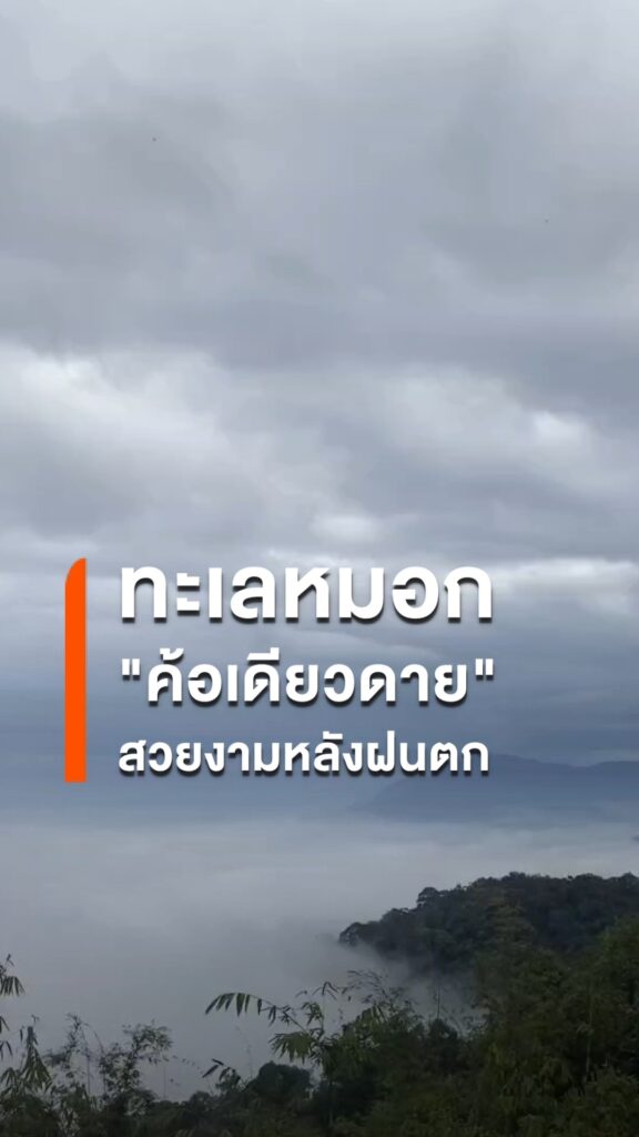 ทะเลหมอกค้อเดียวดาย-สีขาวปุกปุย-หลังฝนตก-ที่สวนพฤกษศาสตร์บ้า