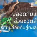 -ช่วยชีวิตสำเร็จ-หลังกลืนสายรัดข้อมือนักท่องเที่ยว-เตรียมคื