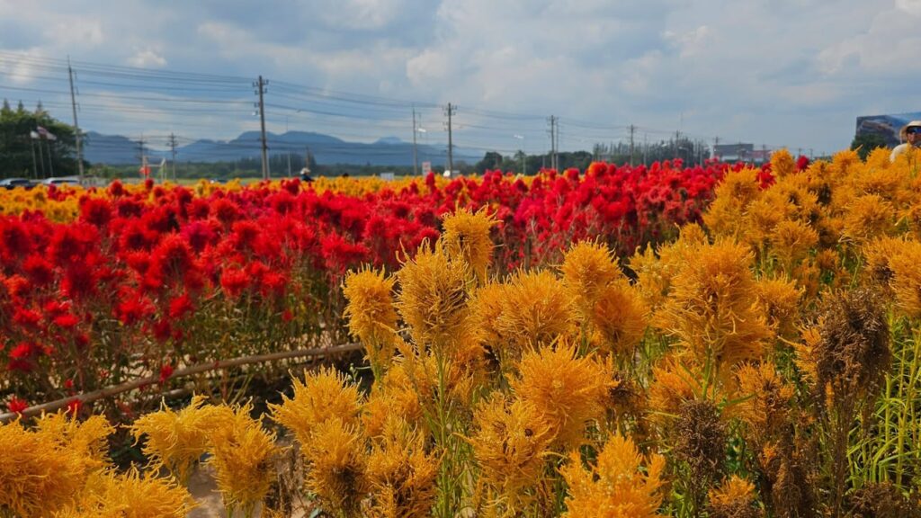 สวัสดีวันพฤหัสบดี-ดีด้วยการสั่งสมสุตตะ-เพื่อการฝึกฝนตน-|-2025-12-18-00:36:00