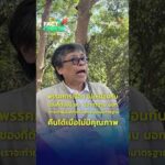 ทำยังไงให้นักการเมืองมีมาตรฐาน… คืนได้เมื่อไม่มีคุณภาพ