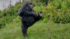 รวมภาพถ่ายสัตว์โลกน่ารักสุดฮาแห่งปี-2025