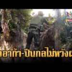 ด่วน ทหารเขมรสวมรองเท้าแตะรัวอาก้า-ปืนกล เน้นป่วนไม่หวังผล | ข่าวอรุณอมรินทร์ 21/12/68