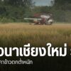 ราคาข้าวนาปี-ที่รับซื้อกิโลกรัมละ-7-บาท-ชาวนาถือว่าเป็นราคาข