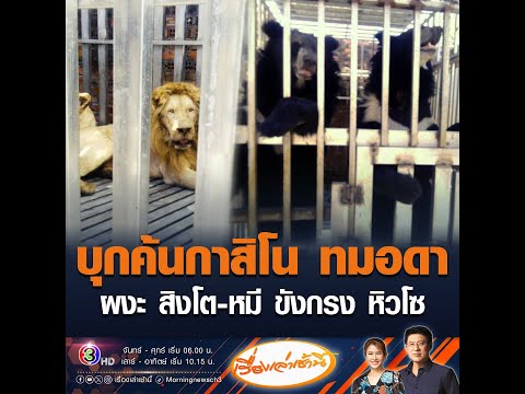 บุกค้นกาสิโน ทมอดา ผงะ สิงโต-หมี ขังกรง หิวโซ อัพเดทข่าว