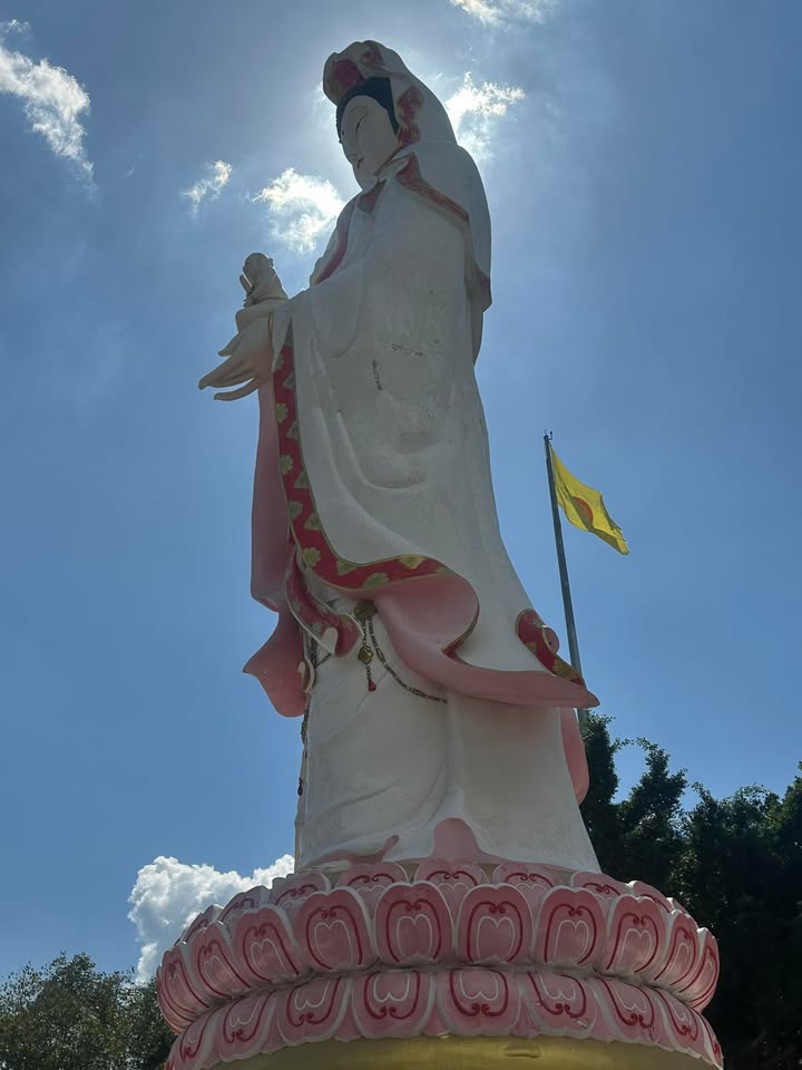 เจ้าแม่กวนอิม-วัดสมานรัตนาราม-จ.ฉะเชิงเทรา-(feed--|-2025-12-24-01:01:00